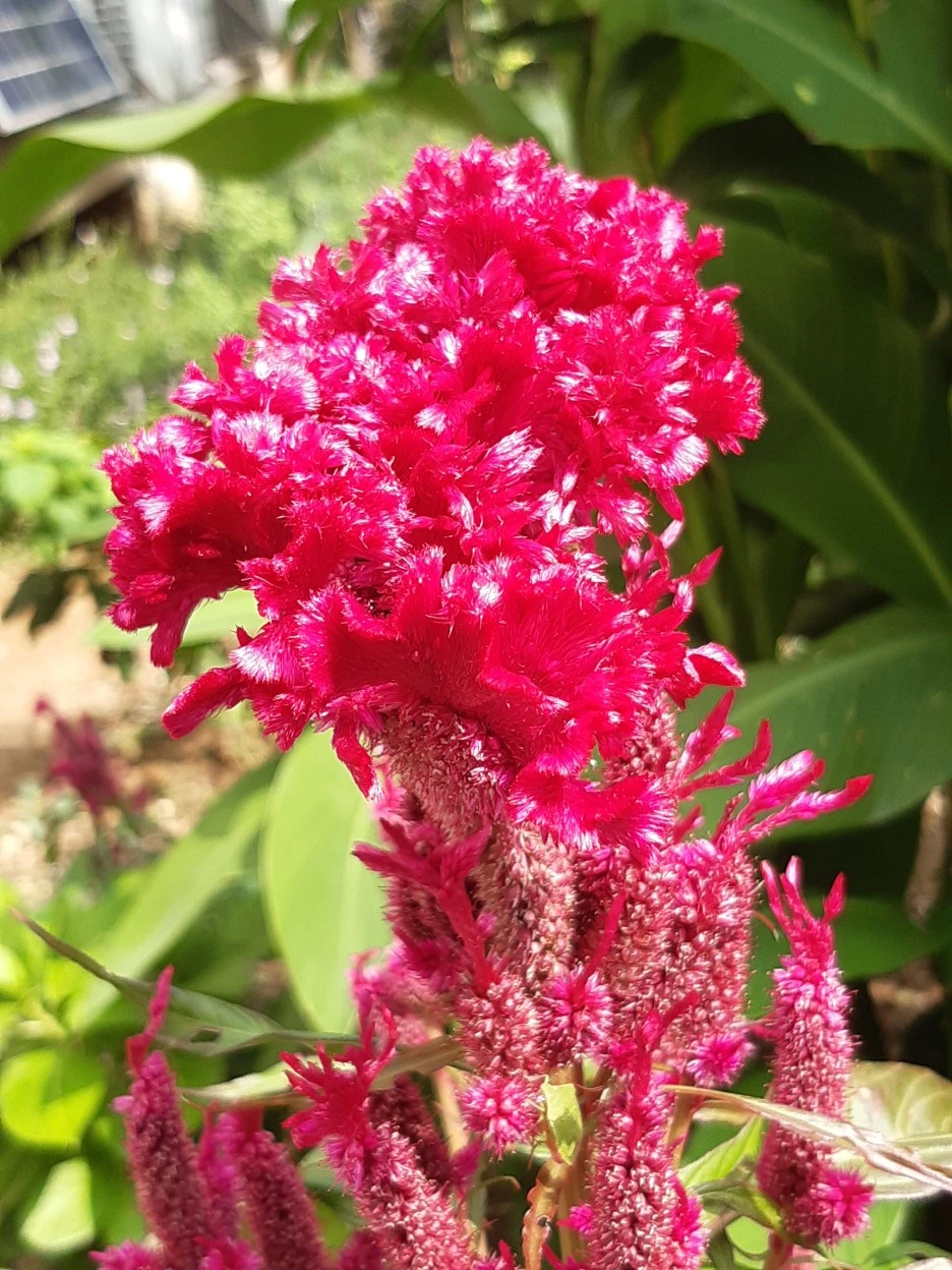 20201001_125632.jpg?type=w1