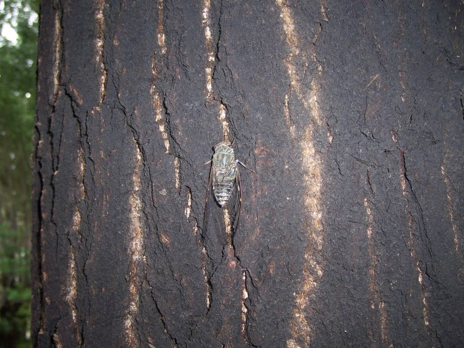 100_4128.jpg?type=w1