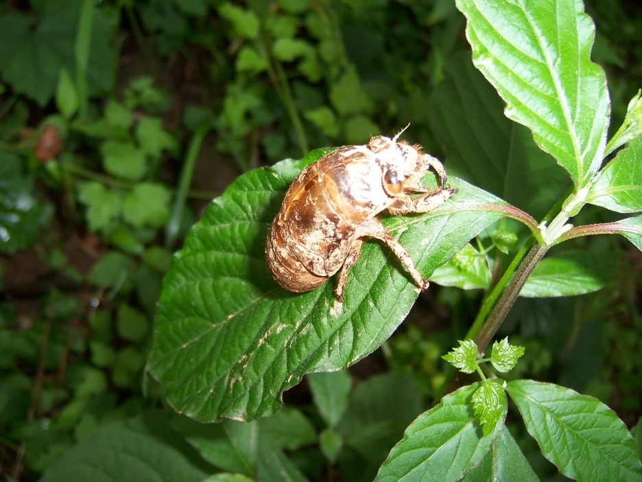 100_4137.jpg?type=w1