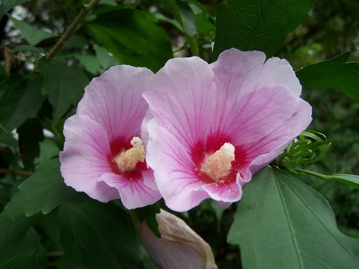 result_2006_7_2_13_53_1_828_30-lysook7.jpg?type=w1