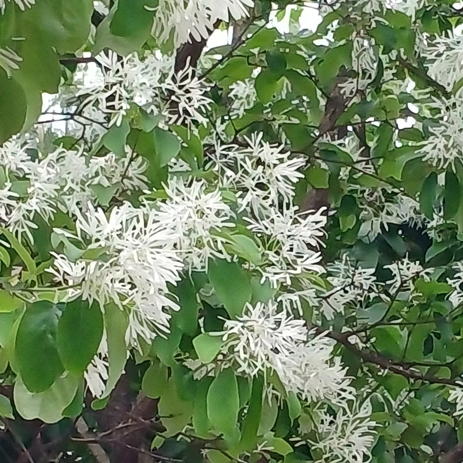 20220508_115905.jpg?type=w1