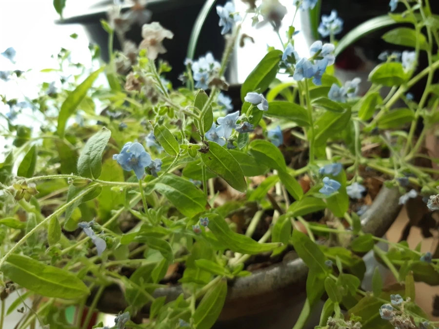 20211215%EF%BC%BF113940.jpg?type=w1