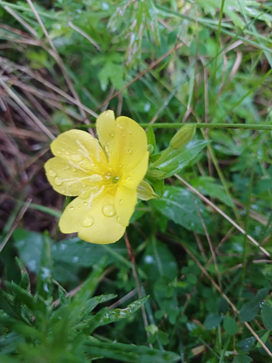 20220829%EF%BC%BF065229.jpg?type=w1