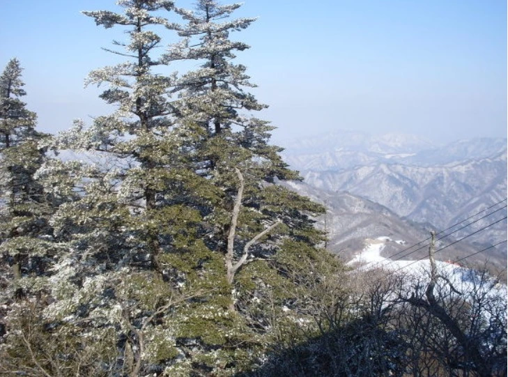 %EC%9B%B9_%EC%BA%A1%EC%B2%98_19-2-2022_122834_blog.daum.net.jpeg?type=w1