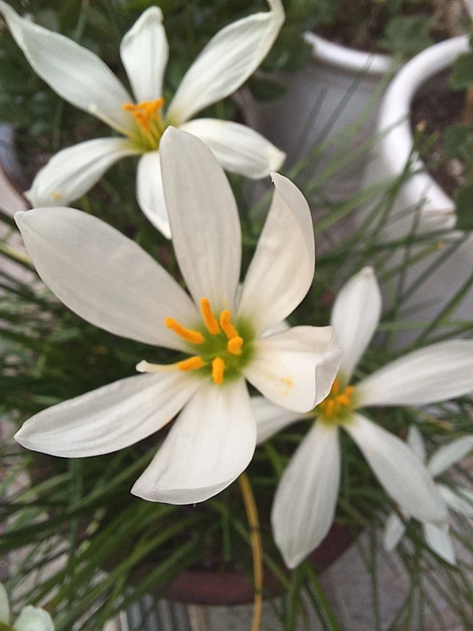 20220920_125239.jpg?type=w1