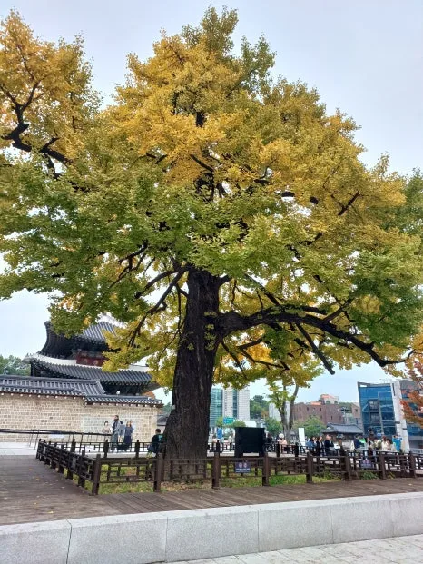 20241027_124639.jpg?type=w466