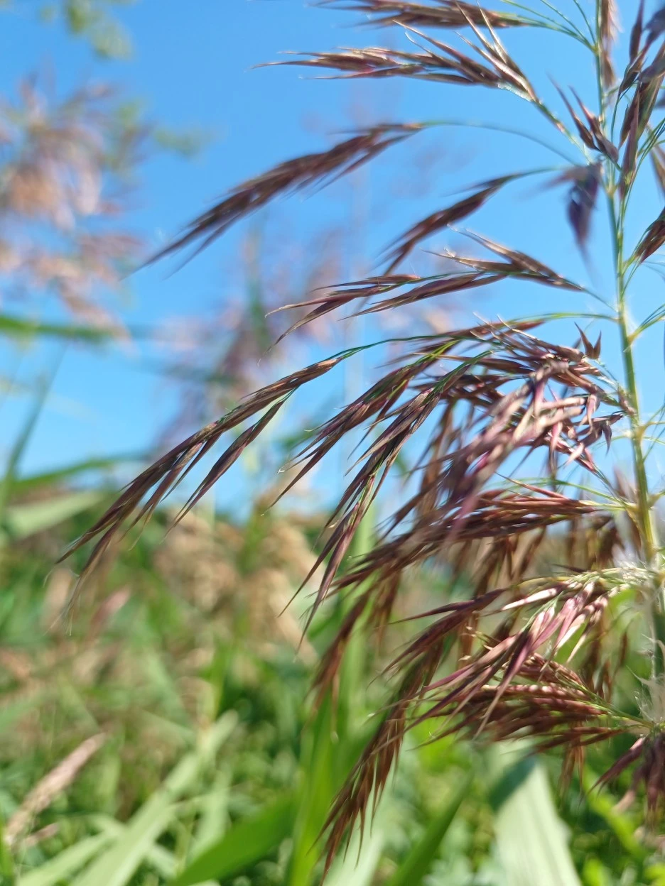 20220924_140834.jpg?typew1