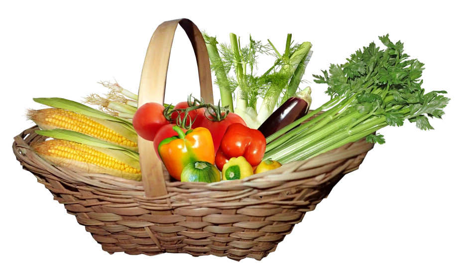 basket-5409092_1920.png?type=w1