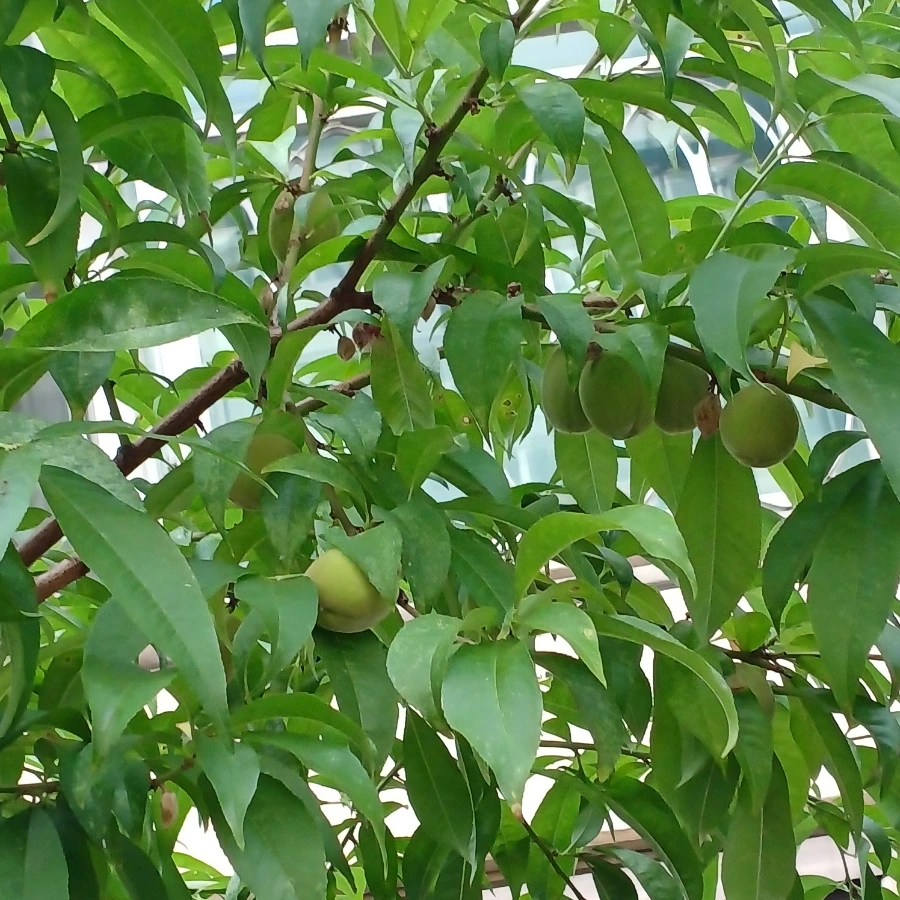 20220609%EF%BC%BF164502.jpg?type=w1