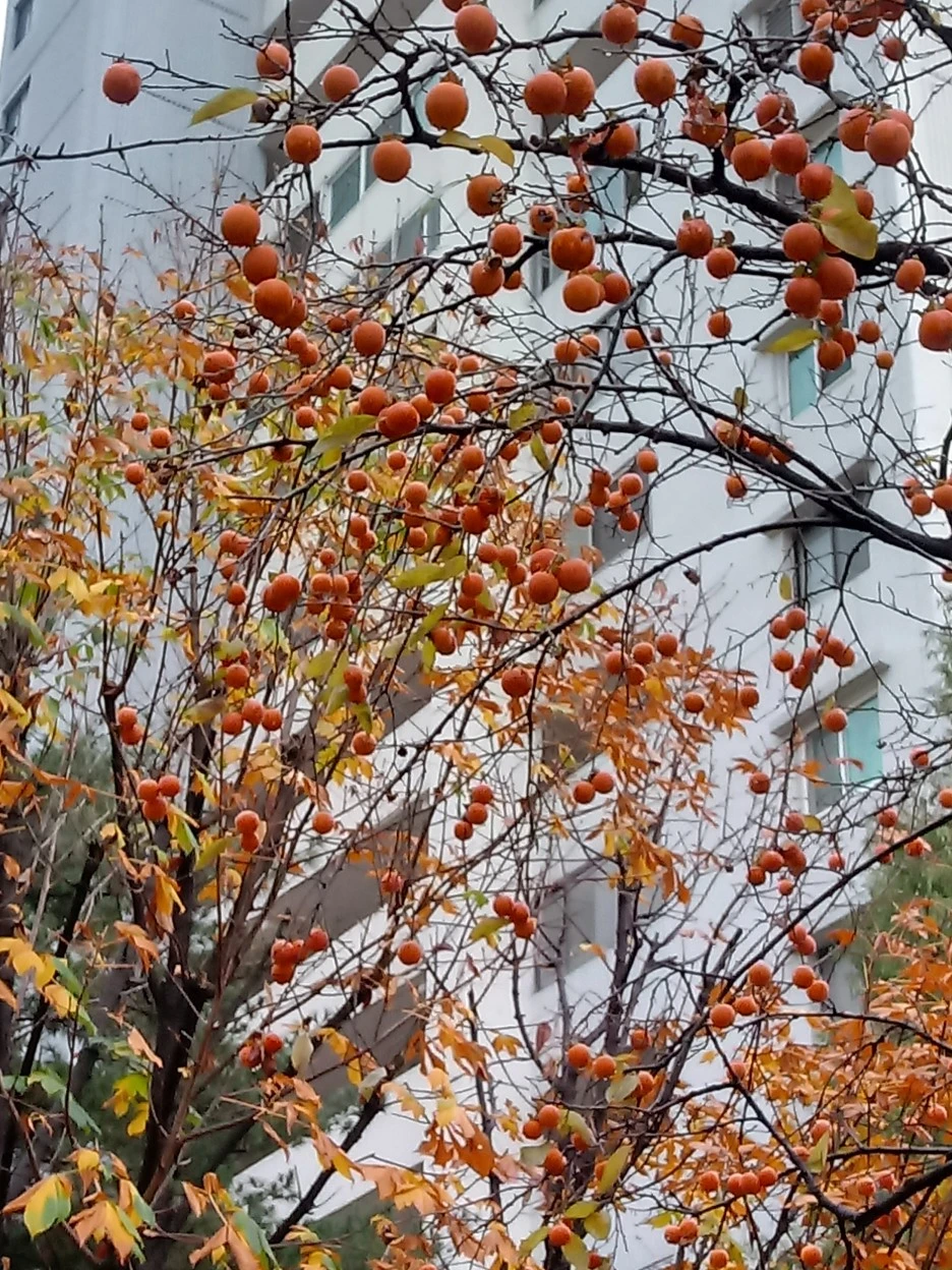 20191111_074959_HDR.jpg?type=w1