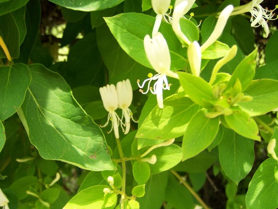 100_1759.jpg?type=w1