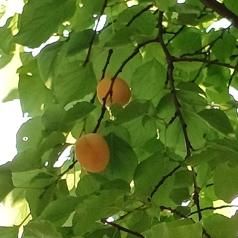 20220612_102542.jpg?type=w1