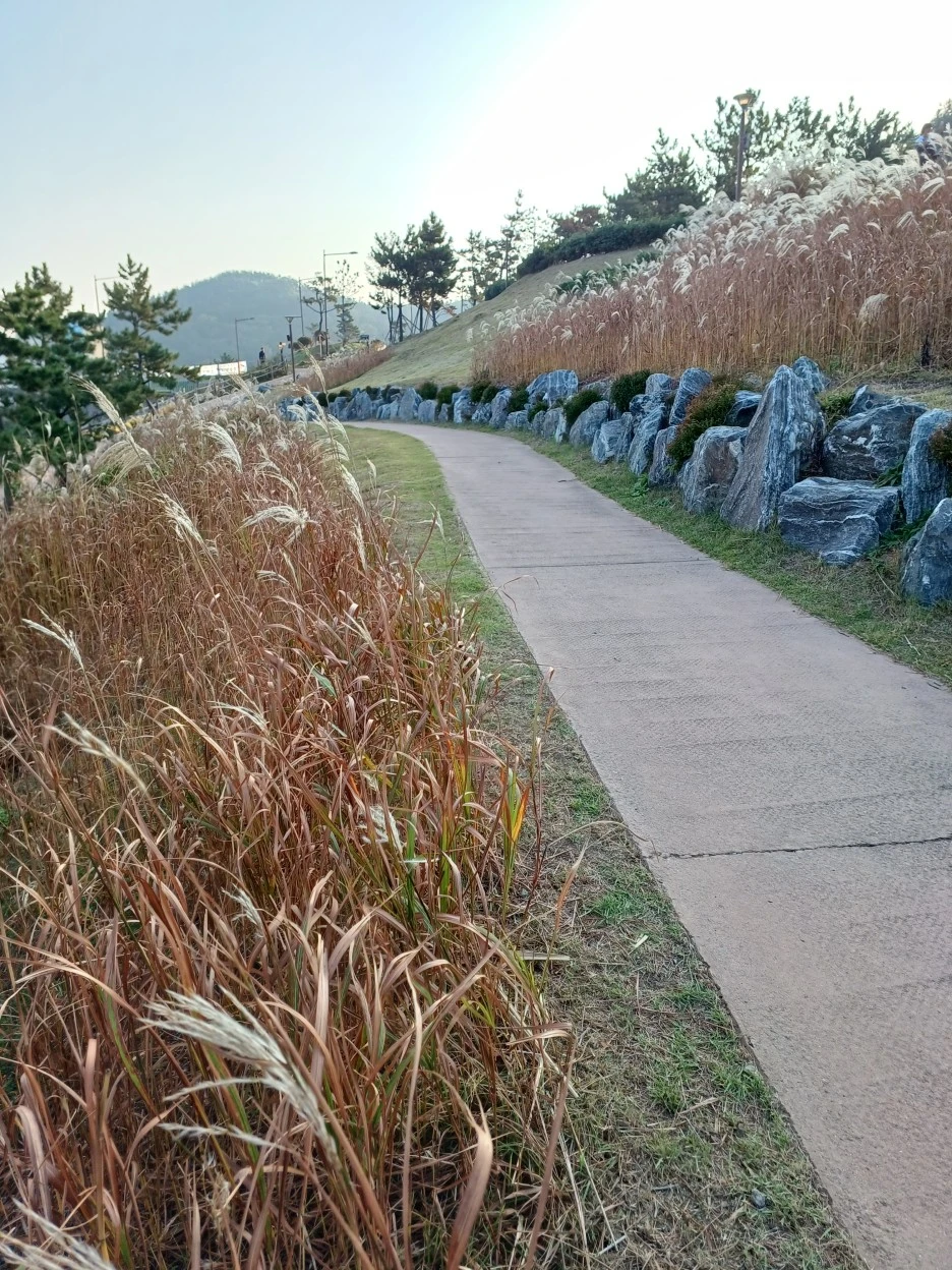 20221023%EF%BC%BF080506.jpg?type=w1