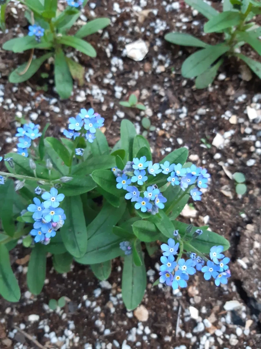 20220418%EF%BC%BF182911.jpg?type=w1