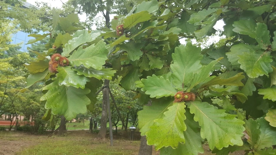 ca71_12_i3.jpg?type=w1