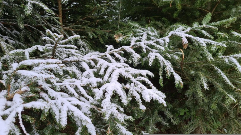 winter-5894569_1920.jpg?type=w1