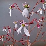 0050010000001728603_%EB%B0%94%EC%9C%84%EC%B7%A8.jpg?typew1