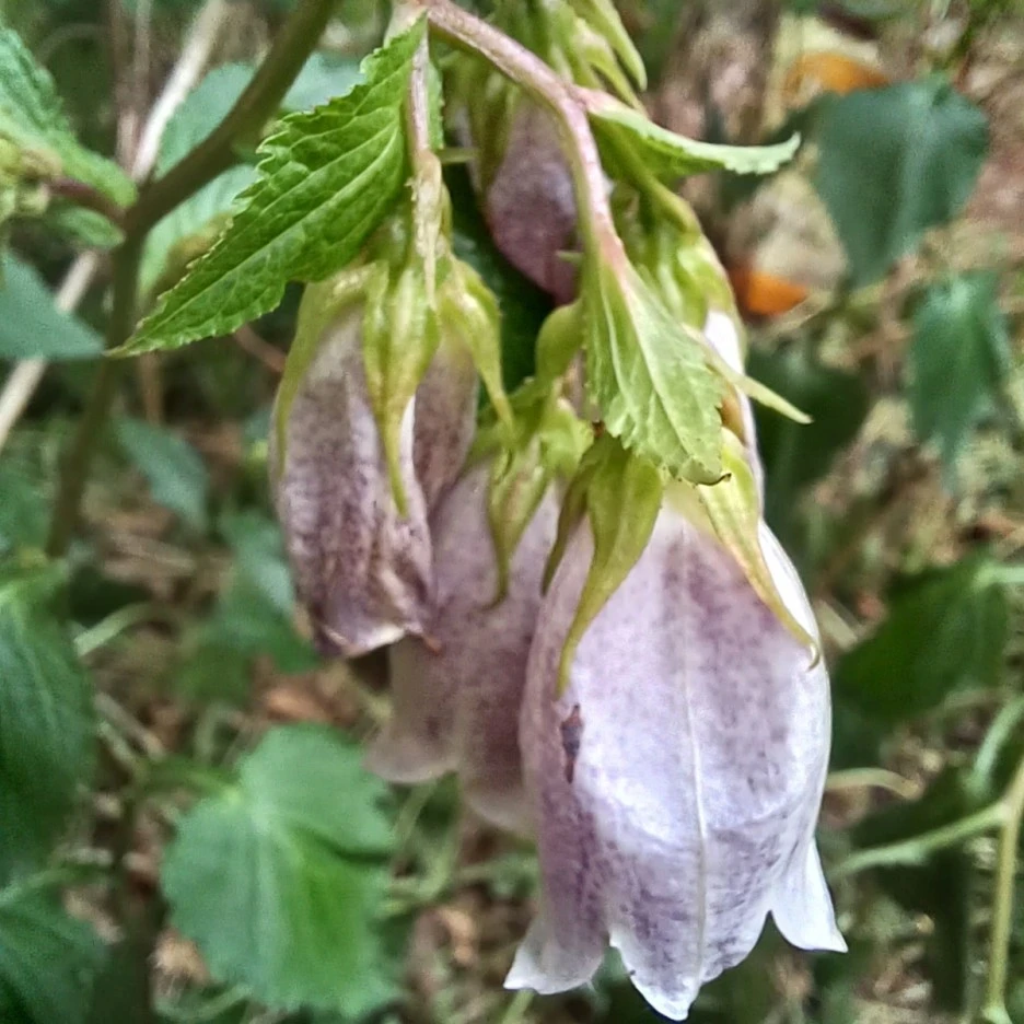 20220529_083353.jpg?type=w1