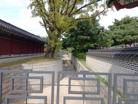 20241009_124104.jpg?type=w466