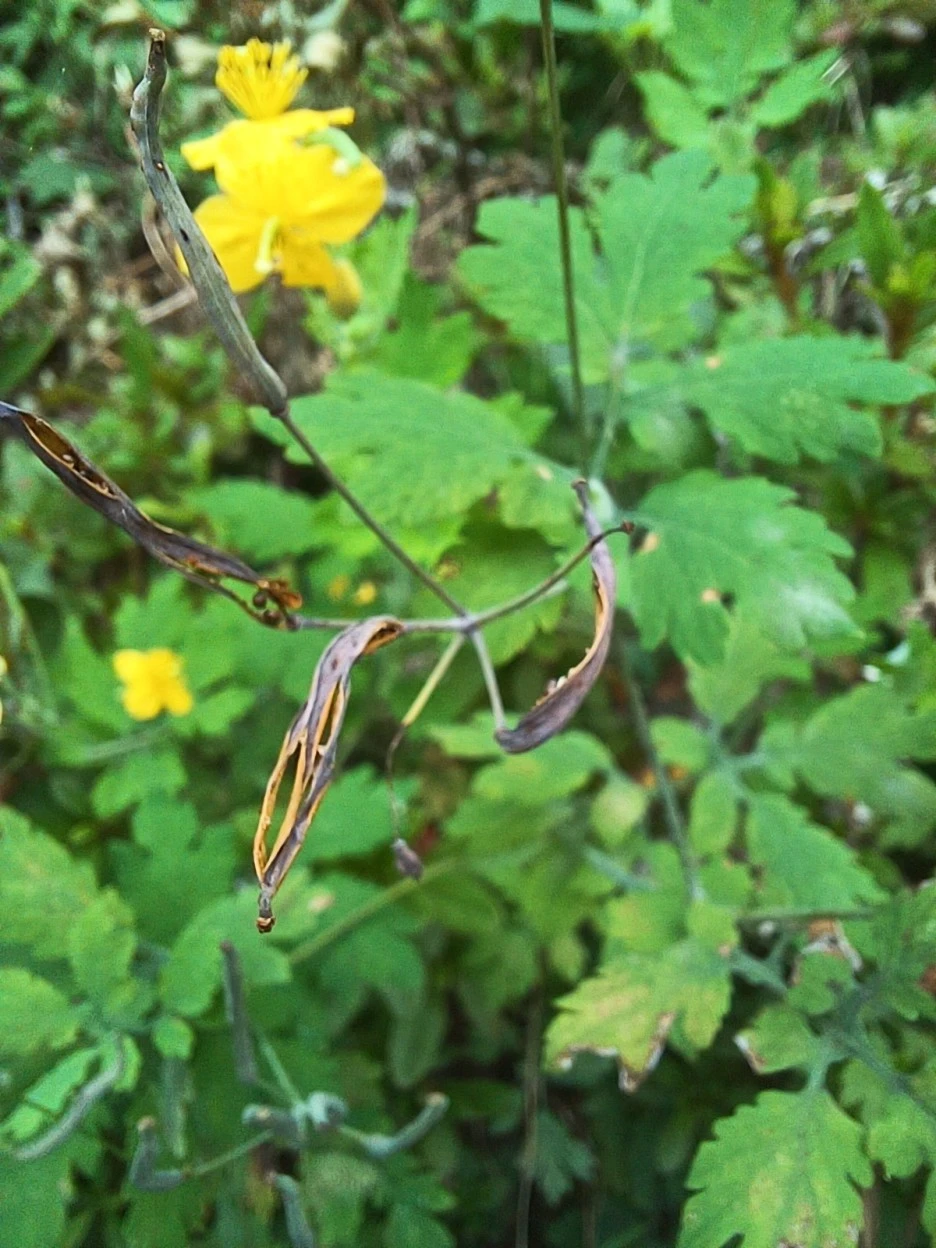 20220912_104435.jpg?type=w1