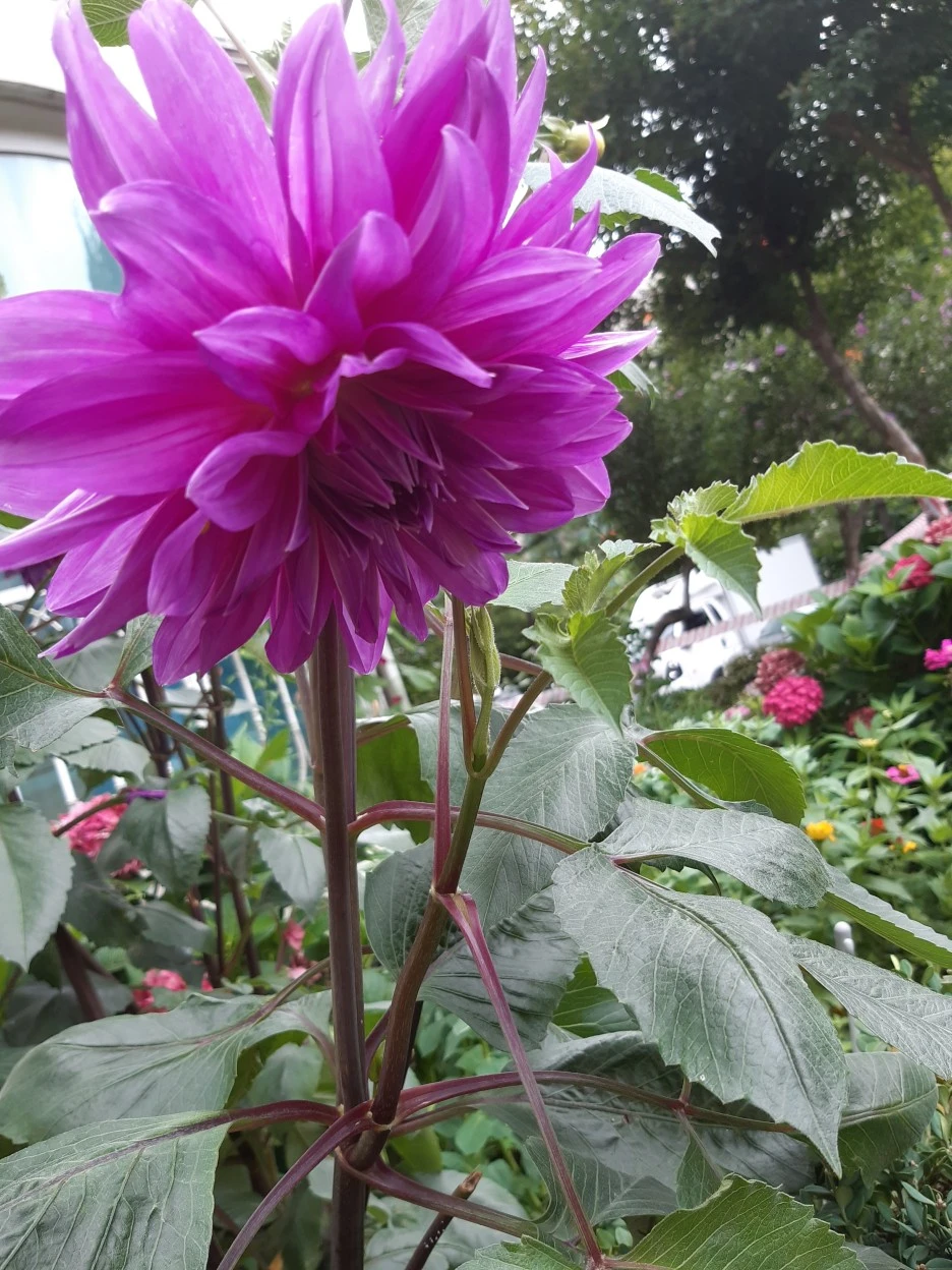 20200724_124656.jpg?type=w1