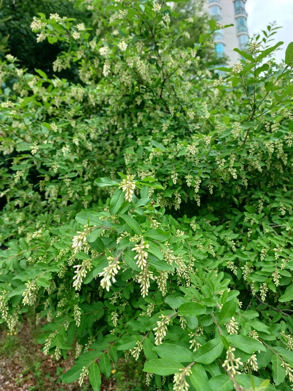 20230518_102121.jpg?type=w1