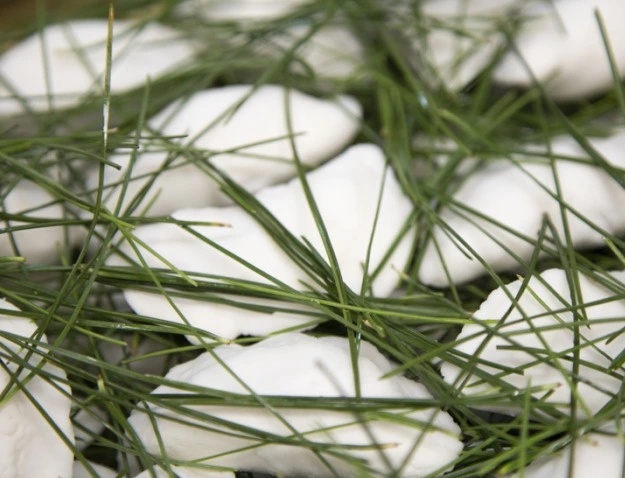 %EC%9B%B9_%EC%BA%A1%EC%B2%98_13-12-2022_16397_www.newsway.co.kr.jpeg?typew1