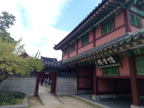 20241009_124008.jpg?type=w466