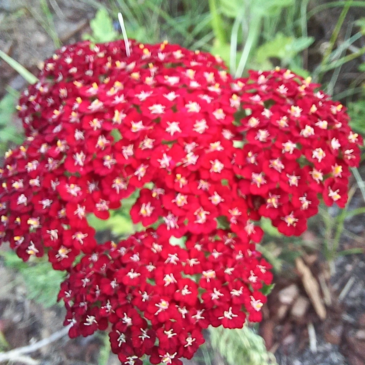 4_ha7Ud018svcvv913kjmzicc_818kqs.jpg?type=e1920_std