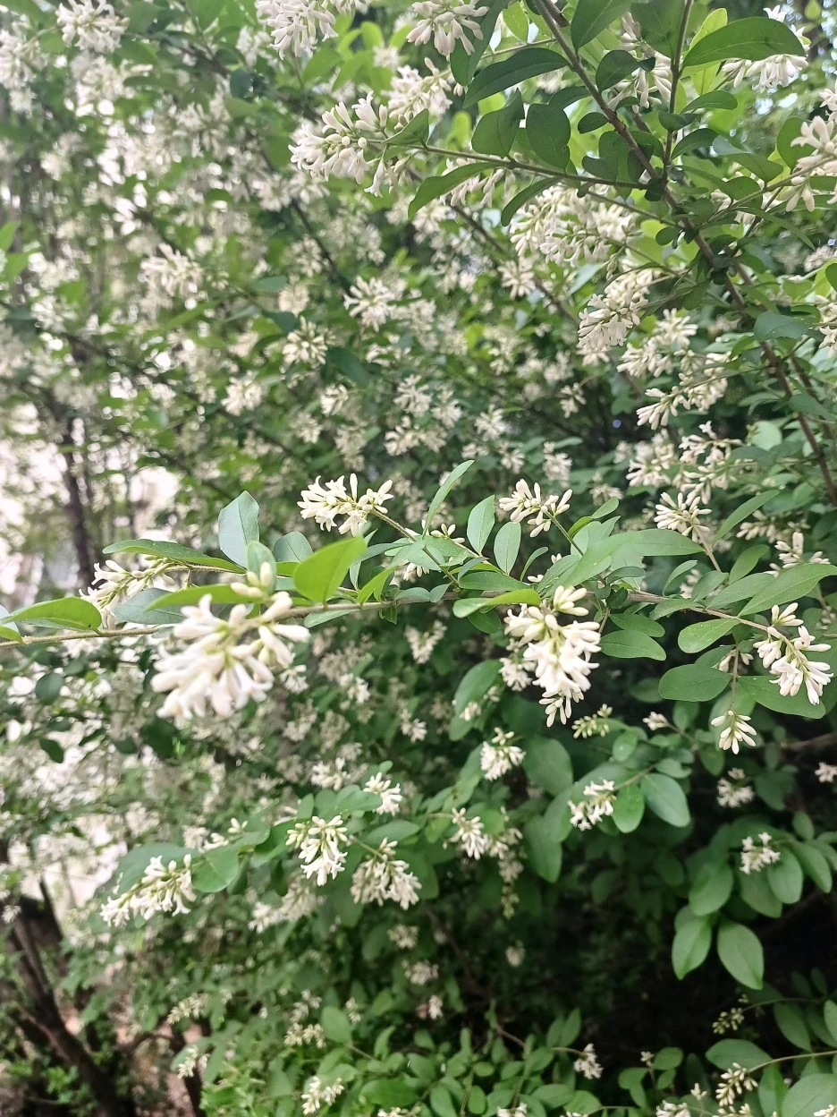 20230520_064005.jpg?type=w1