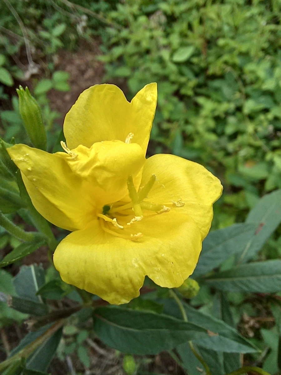 20220903%EF%BC%BF120430.jpg?type=w1