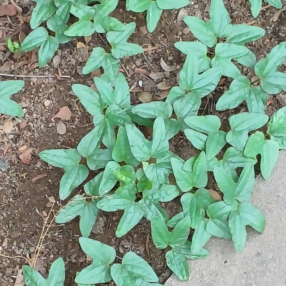 20220619_153023.jpg?type=w1