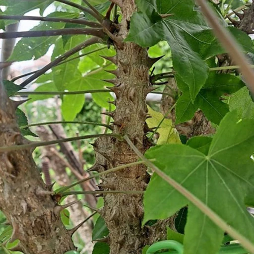 %EB%8B%A4%EC%9A%B4%EB%A1%9C%EB%93%9C_(1).jpg?type=w1