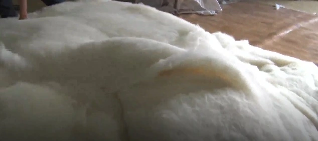 웹 캡처_11-12-2022_16131_terms.naver.com.jpeg