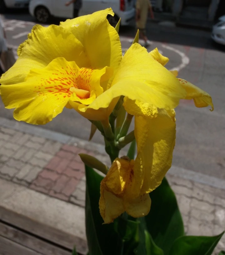 SE-80301ec1-a792-4df2-aef1-0a69d41072b6.jpg?type=w1