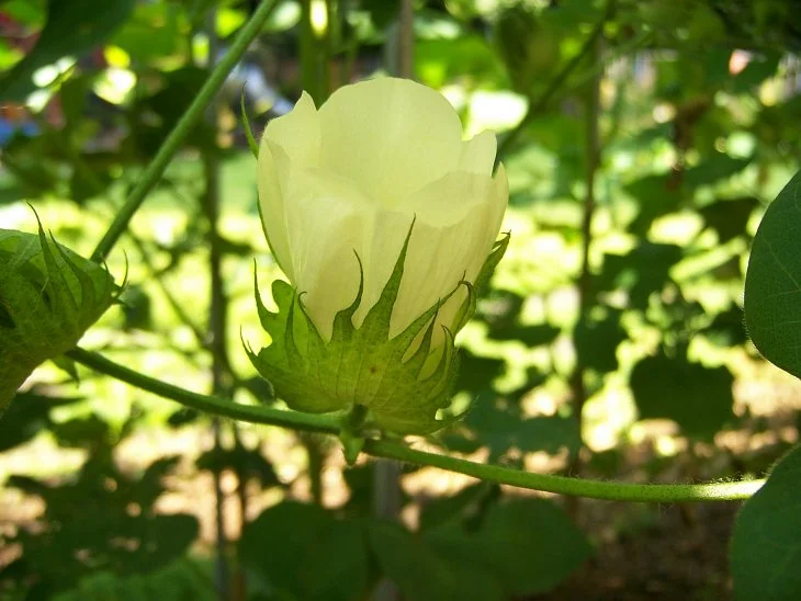 result_2006_8_6_11_59_28_187_34-lysook7.jpg?typew1