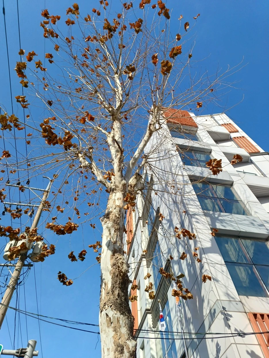 20221216%EF%BC%BF135634.jpg?typew1