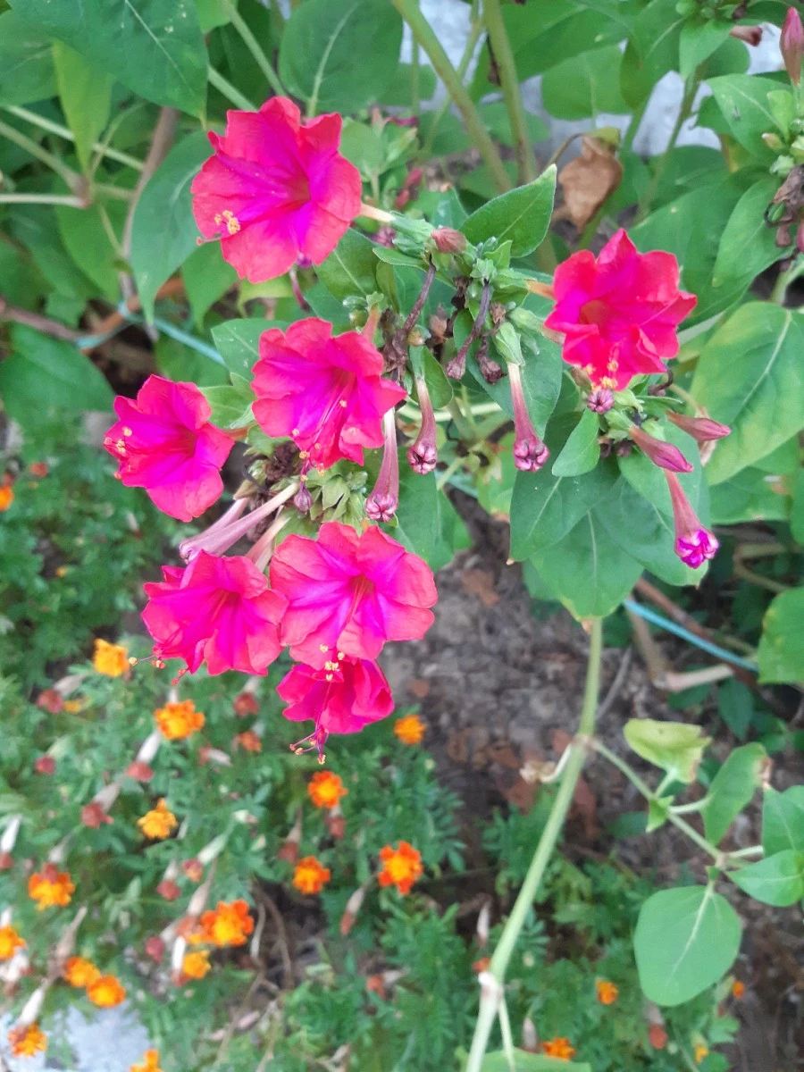 20210819%EF%BC%BF185428.jpg?type=w1