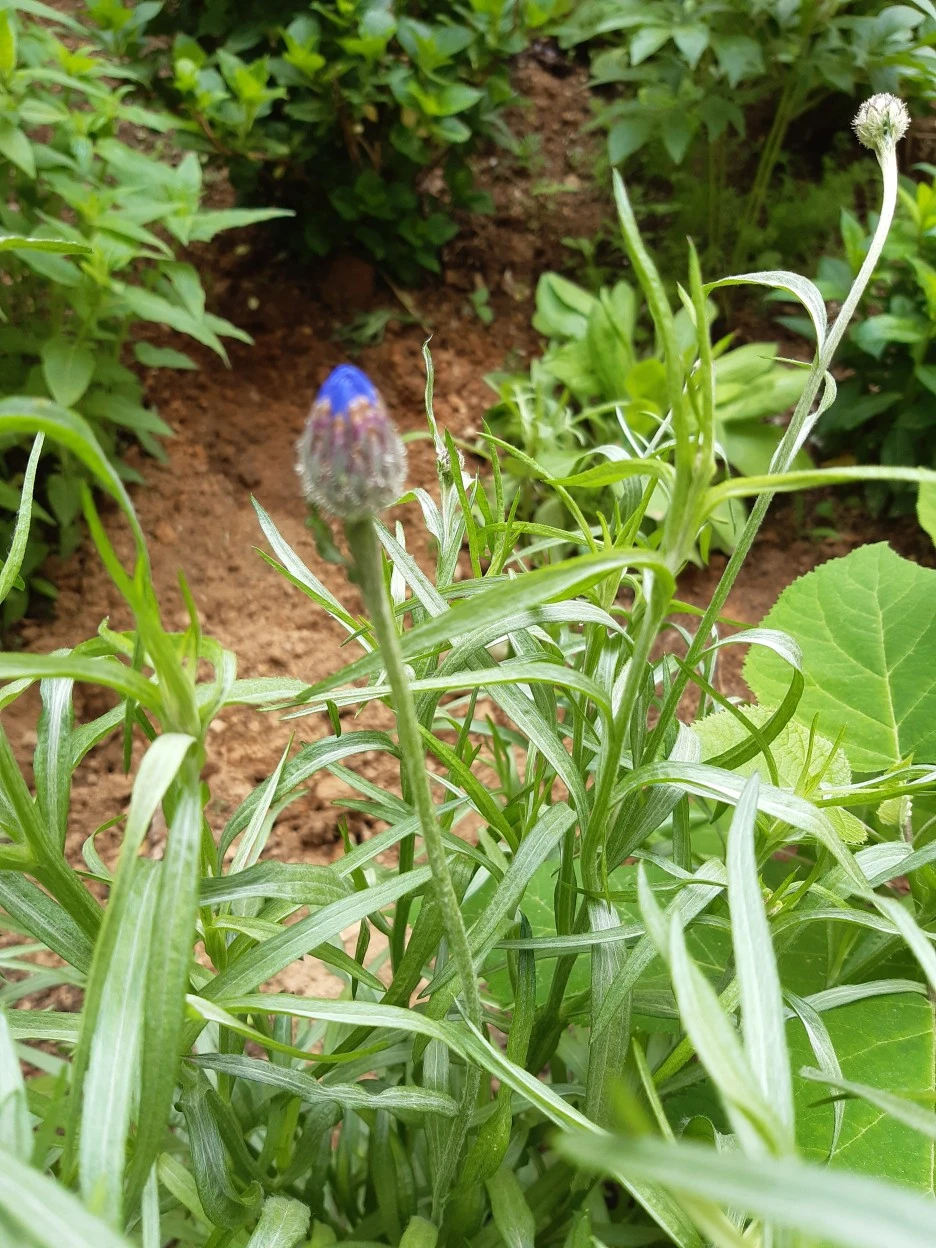 20210426_112724.jpg?type=w1