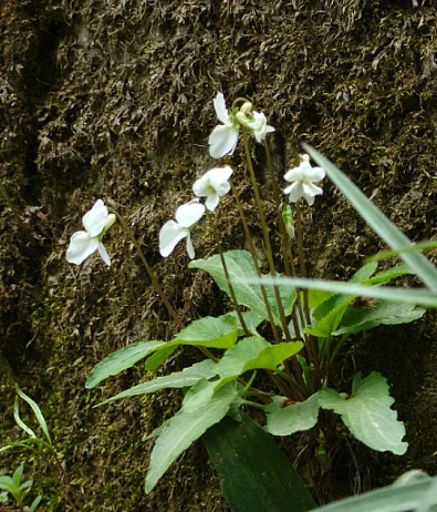 %EC%9B%B9_%EC%BA%A1%EC%B2%98_3-1-2023_11210_blog.naver.com.jpeg?type=w1