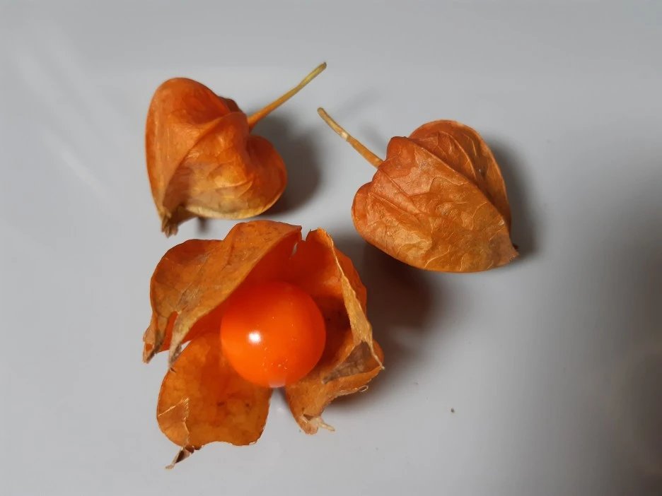 20211116_184704.jpg?type=w1