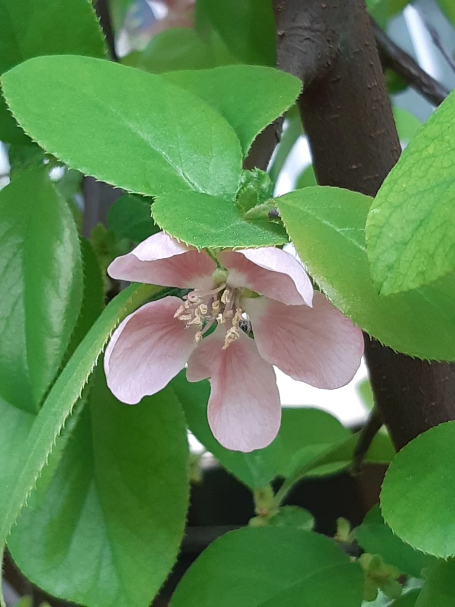 20220422_132726.jpg?type=w1