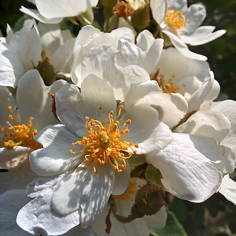 20220512%EF%BC%BF105858.jpg?type=w1