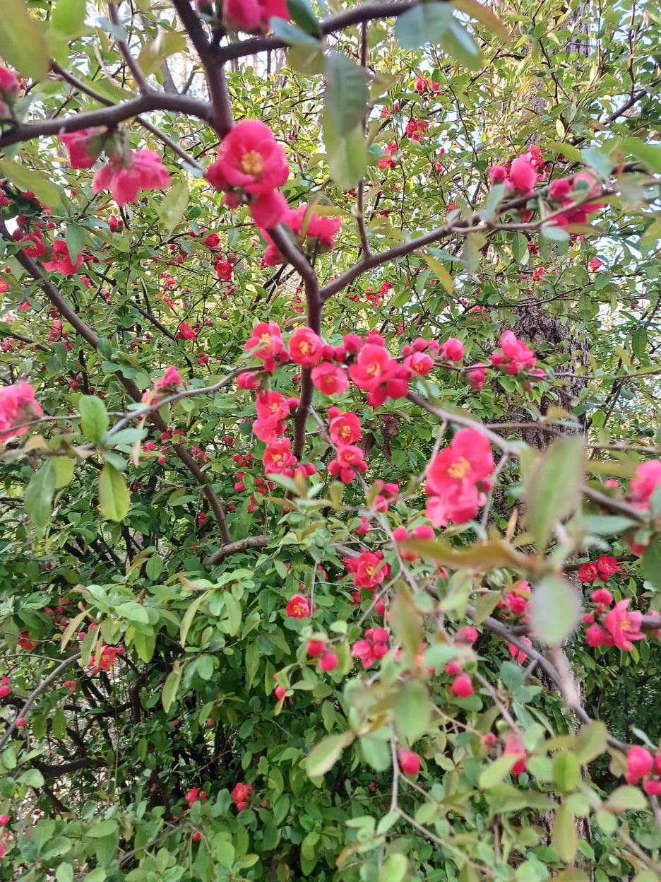 20230331_171101.jpg?type=w1