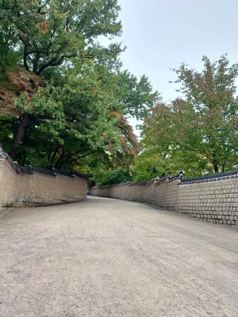 20241027_125721.jpg?type=w466