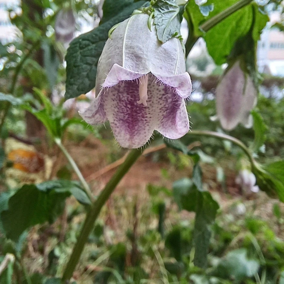 20220529_083358.jpg?type=w1