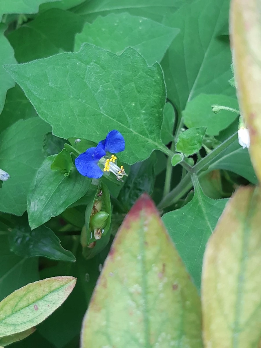 20210829%EF%BC%BF130639.jpg?type=w1