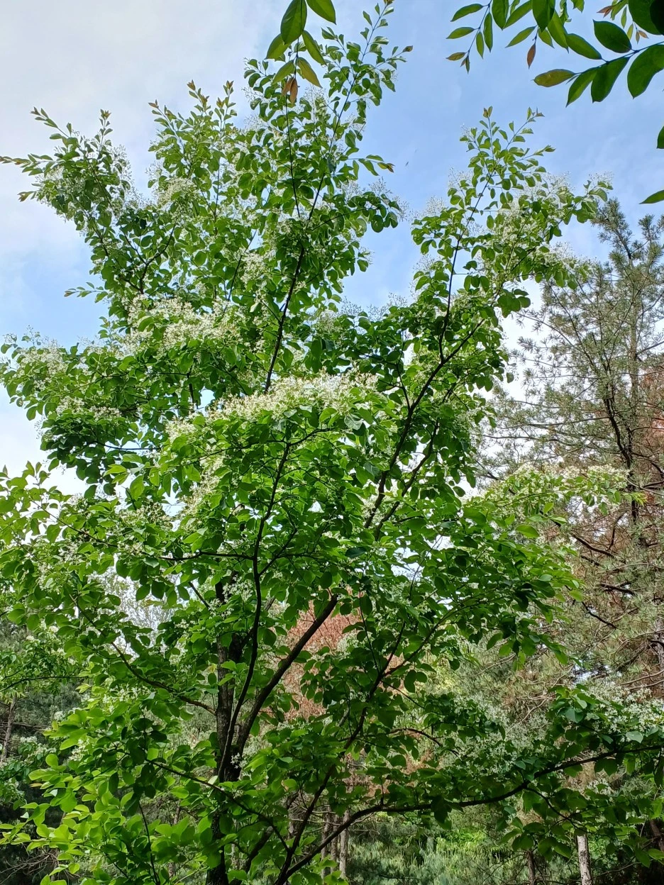 20230514_104147.jpg?type=w1