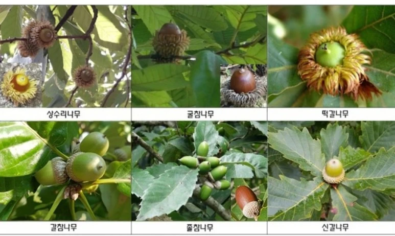 SmartSelect%EF%BC%BF20210313%EF%BC%8D174006%EF%BC%BFChrome.jpg?type=w1