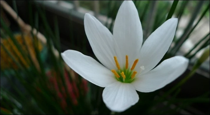 %EB%82%98%EB%8F%84_%EC%83%A4%ED%94%84%EB%9E%80_1.jpg?type=w1